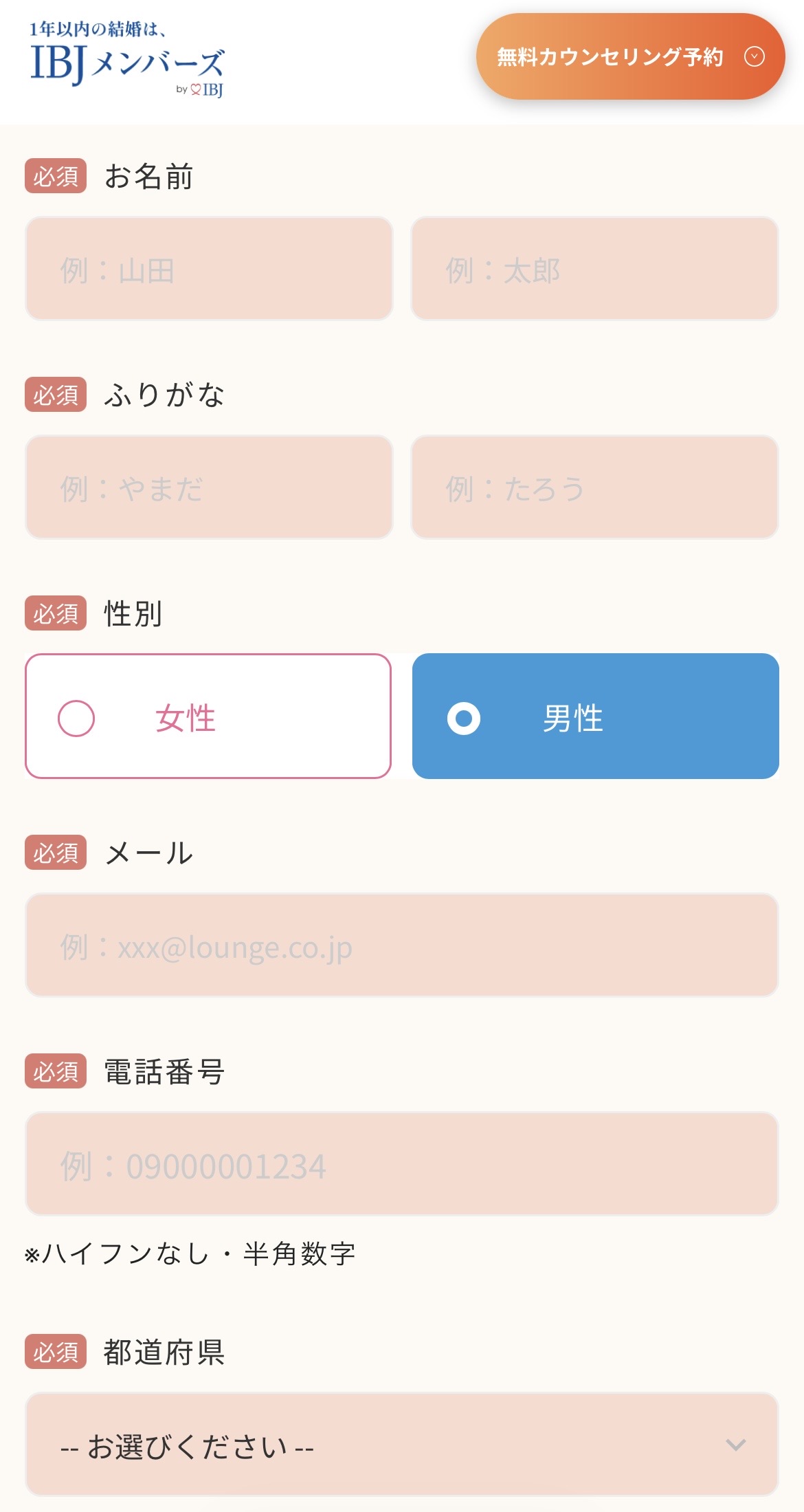 メール・電話・都道府県入力