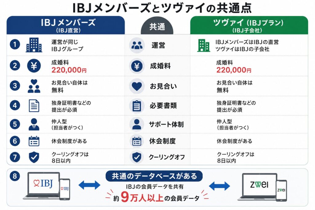 IBJメンバーズとツヴァイの共通点8つを並べた比較図。運営・成婚料220,000円・お見合い無料・必要書類・仲人型のサポート体制・休会制度・クーリングオフ8日以内が共通で、IBJの会員データベースも共有している